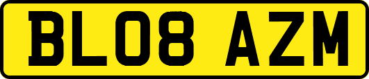 BL08AZM