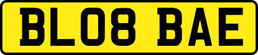 BL08BAE