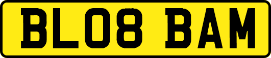 BL08BAM