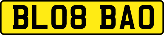 BL08BAO
