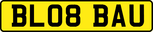 BL08BAU