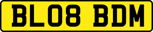 BL08BDM