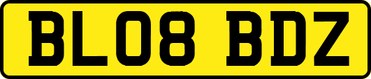 BL08BDZ