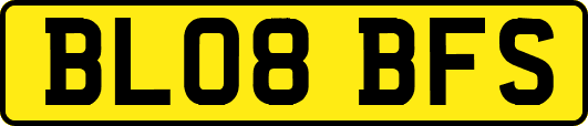 BL08BFS