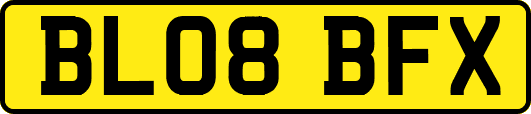 BL08BFX