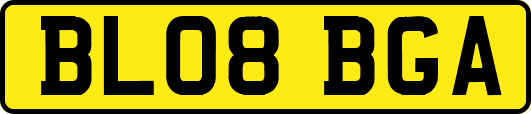 BL08BGA