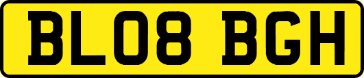 BL08BGH