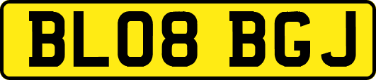 BL08BGJ