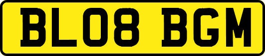 BL08BGM