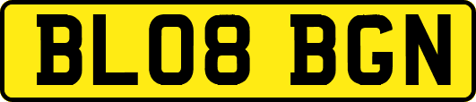 BL08BGN
