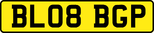 BL08BGP