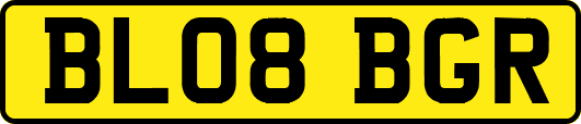 BL08BGR