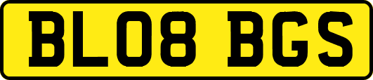 BL08BGS