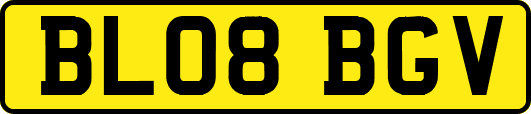 BL08BGV