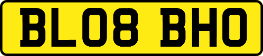 BL08BHO