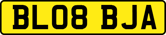 BL08BJA