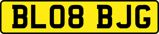 BL08BJG