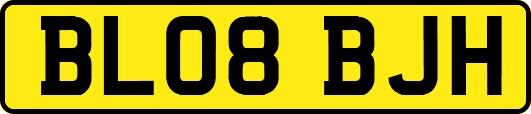 BL08BJH