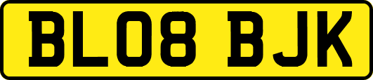 BL08BJK