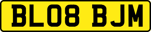 BL08BJM