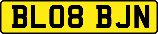 BL08BJN