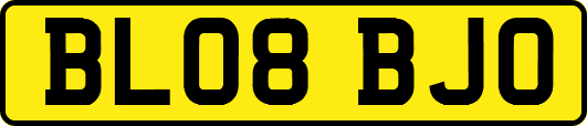 BL08BJO