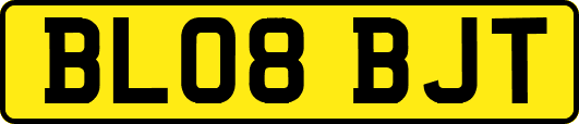 BL08BJT