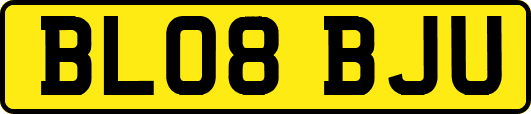BL08BJU