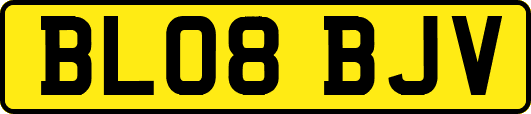 BL08BJV