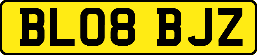 BL08BJZ