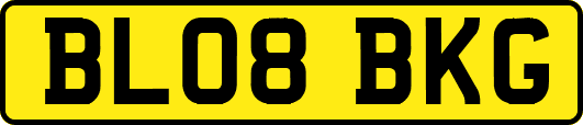 BL08BKG
