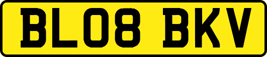 BL08BKV