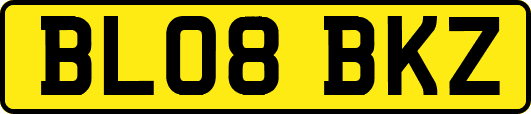 BL08BKZ