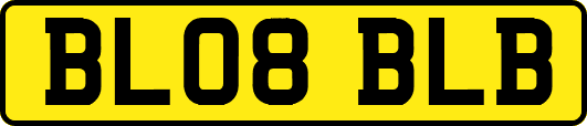 BL08BLB