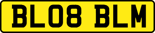 BL08BLM