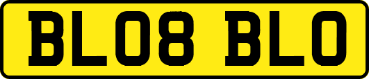 BL08BLO