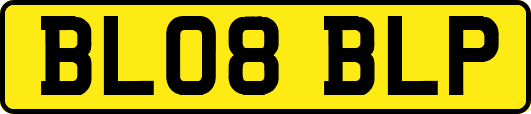BL08BLP