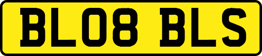 BL08BLS