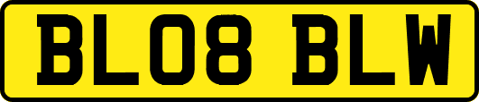 BL08BLW