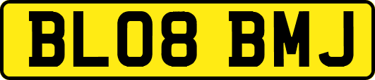 BL08BMJ