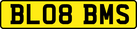 BL08BMS