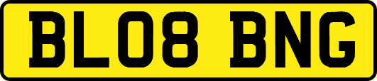 BL08BNG