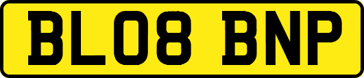 BL08BNP