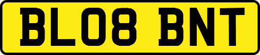 BL08BNT