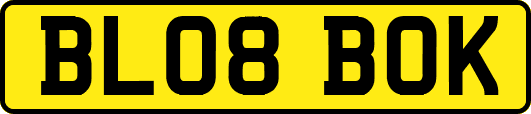 BL08BOK