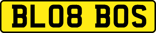 BL08BOS