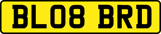 BL08BRD