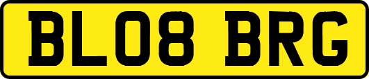 BL08BRG