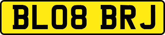 BL08BRJ