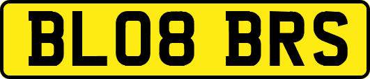 BL08BRS
